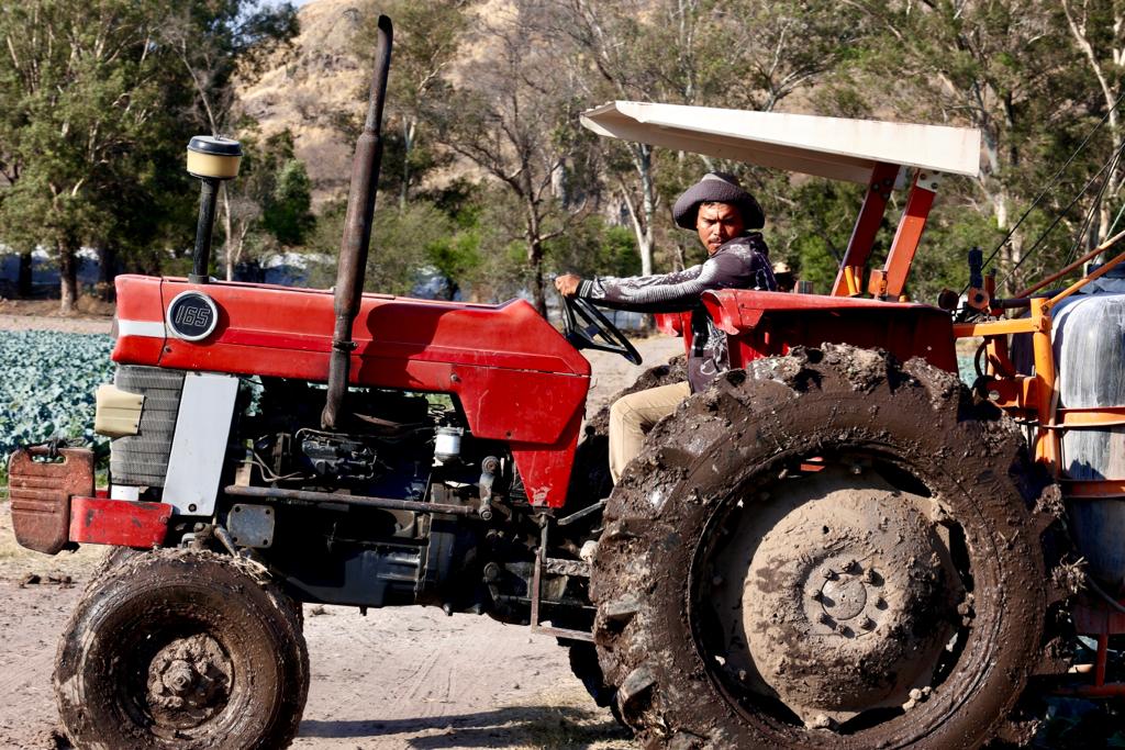 Aumentar la producción agrícola solo se puede hacer con el apoyo de la ciencia y la innovación tecnológica