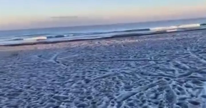 Mariscadero: Así se ve la playa congelada por la Ola de Frío en Chile