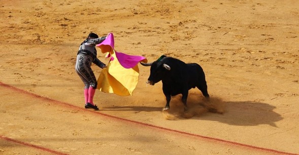 Corridas de toros sí, pero sin mole: Partido Verde va por “espectáculos sin sangre” 🚫🚫